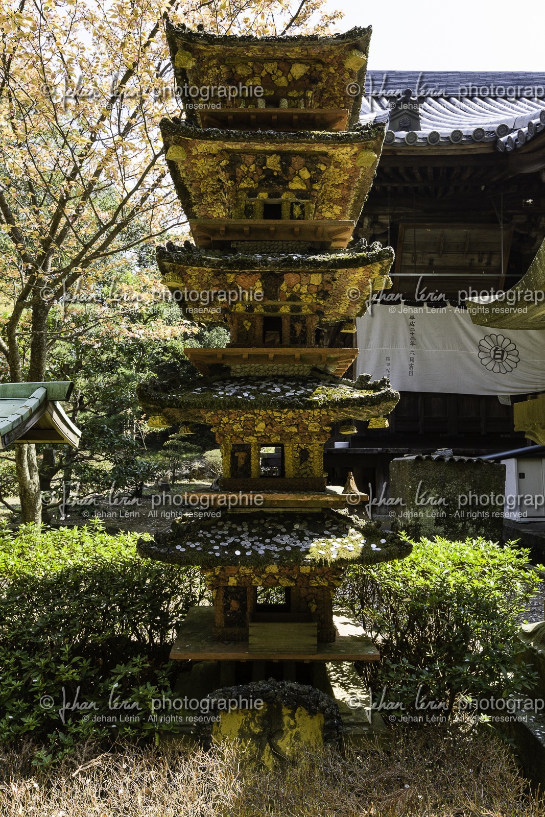 shiromineji_temple-81_shikoku_japon_09-04_2014-1083.jpg