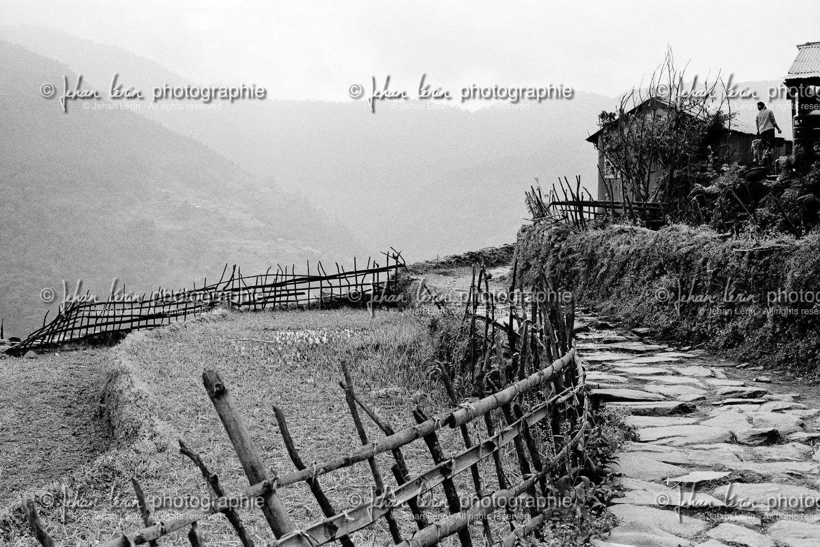 nepal2004hd52.jpg