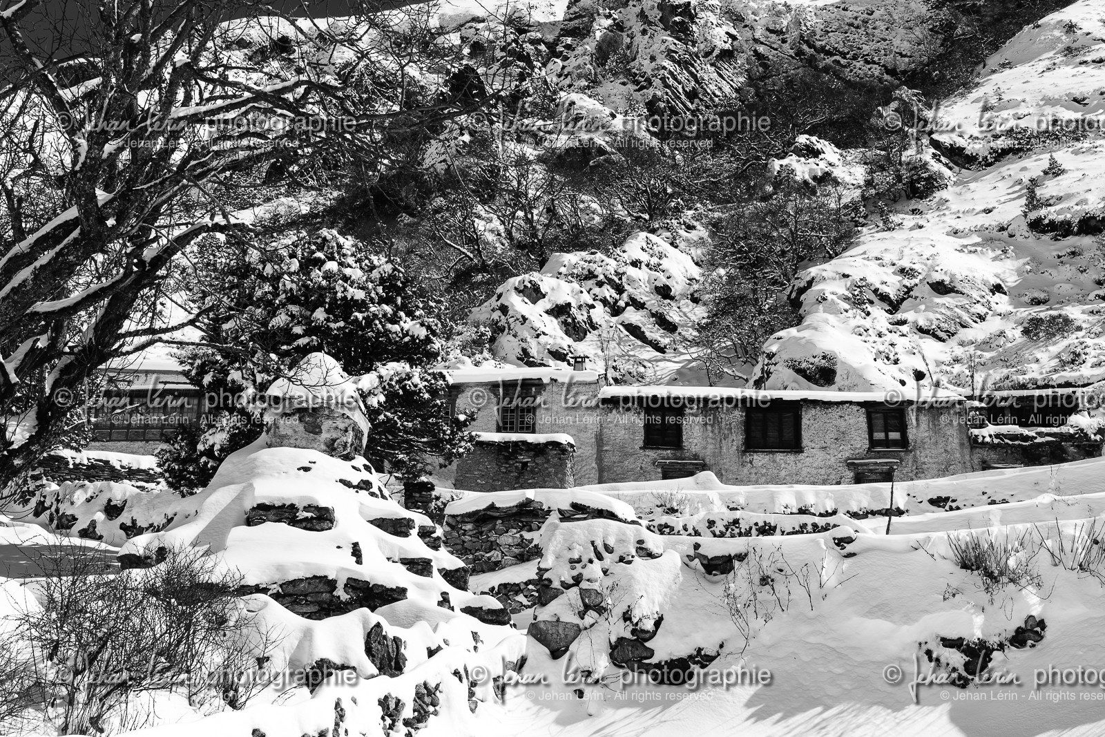 nepal_rolwaling-and-khumbu-area_phortse_17-02-2013-36815.jpg