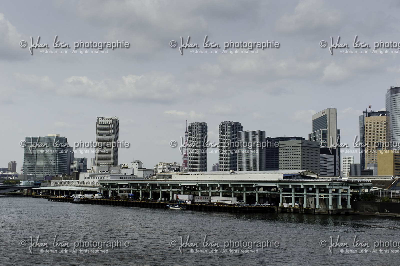 bridge_tsukiji-fish-market_tokyo_japon_jl_1dx_08-05-2014-6609.jpg