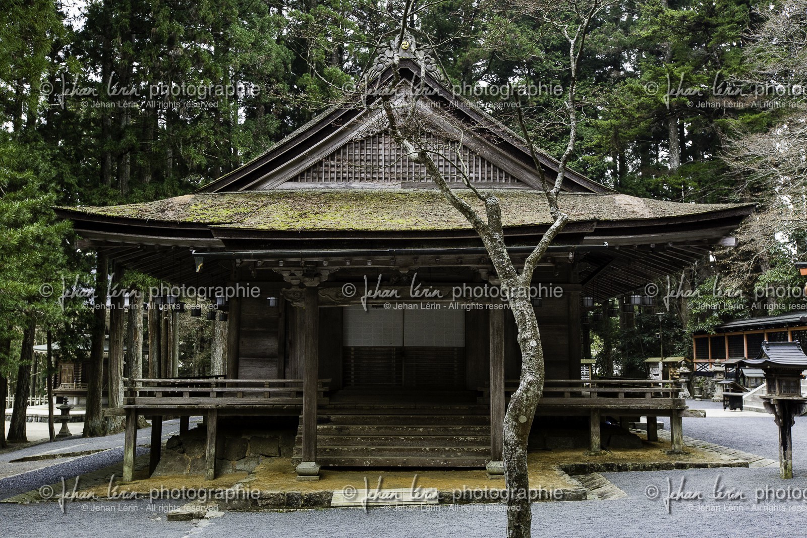 koyasan_japon_jl_5d3_16-04-2014-1377.jpg koyasan_japon_jl_5d3_16-04-2014-1377.jpg