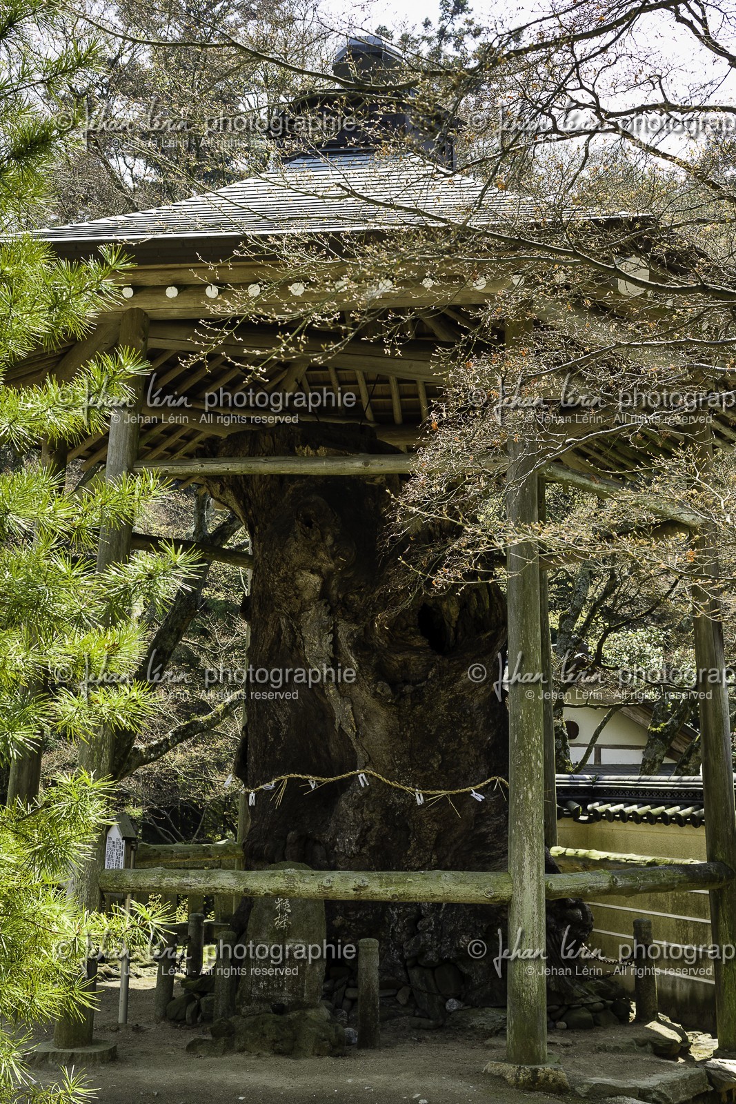 negoroji_temple-82_shikoku_japon_09-04_2014-4508.jpg