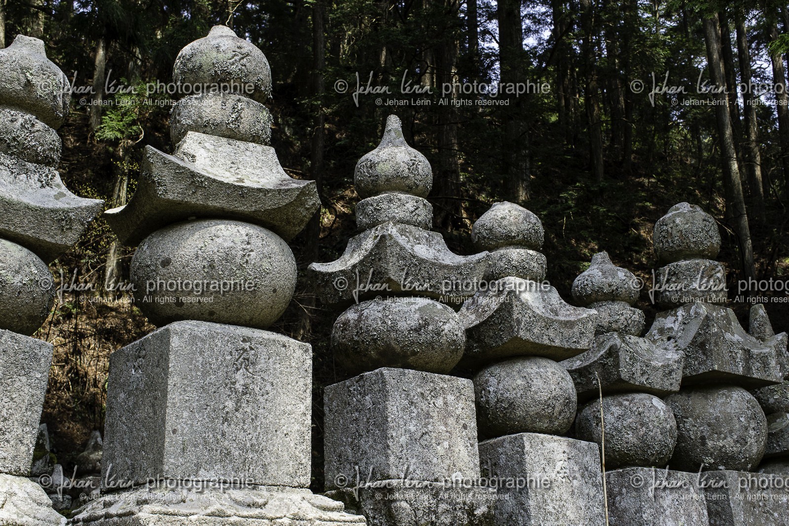 koyasan_japon_jl_1dx_17-04-2014-5232.jpg