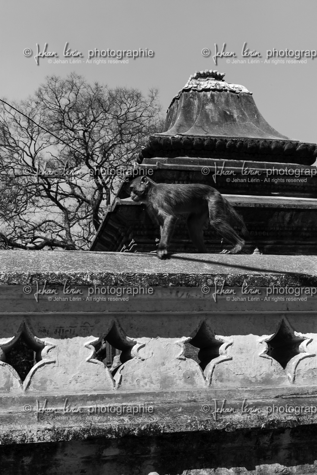 nepal_kathmandu_pashupatinath_10-02-2013-36340.jpg