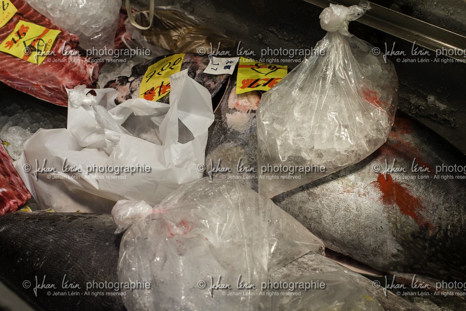 tsukiji-fish-market_tokyo_japon_jl_1dx_08-05-2014-6575.jpg