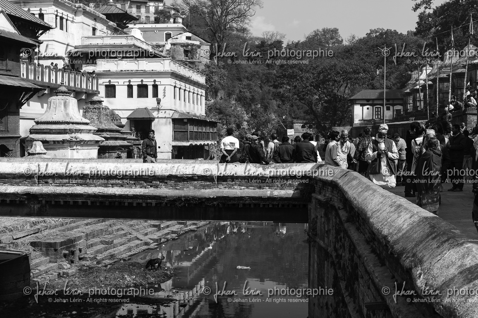 nepal_kathmandu_pashupatinath_10-02-2013-36290.jpg
