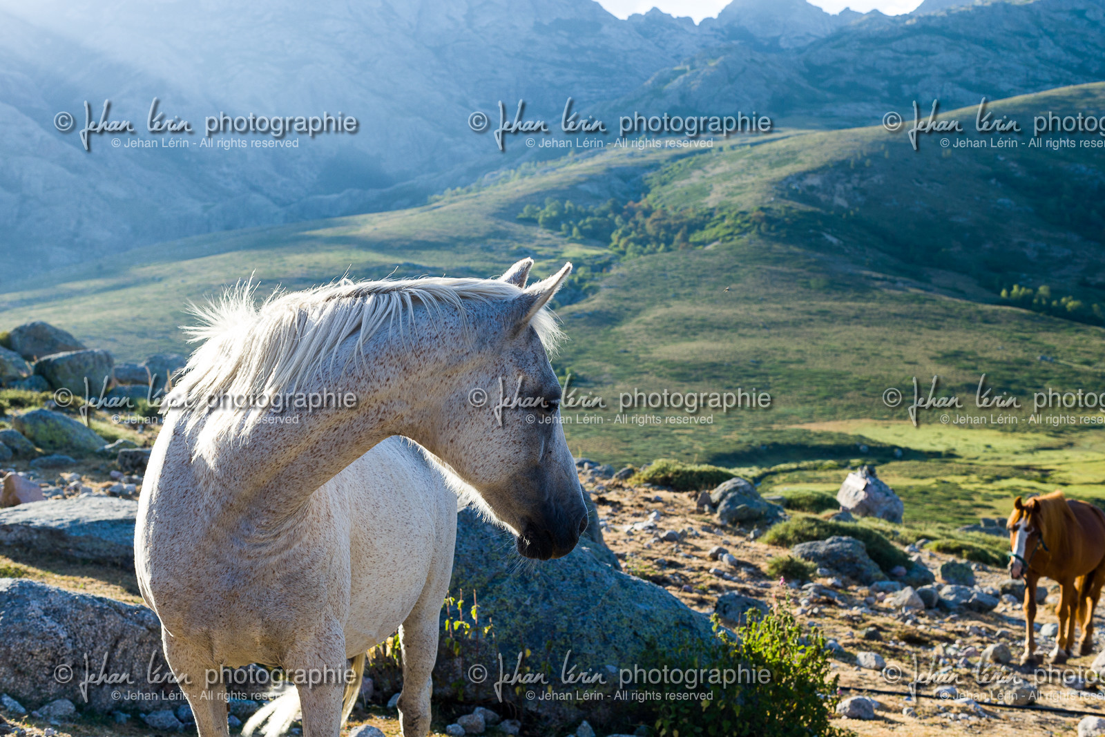 gr20_corse_jl_1dx_25-07-2016-0881.jpg
