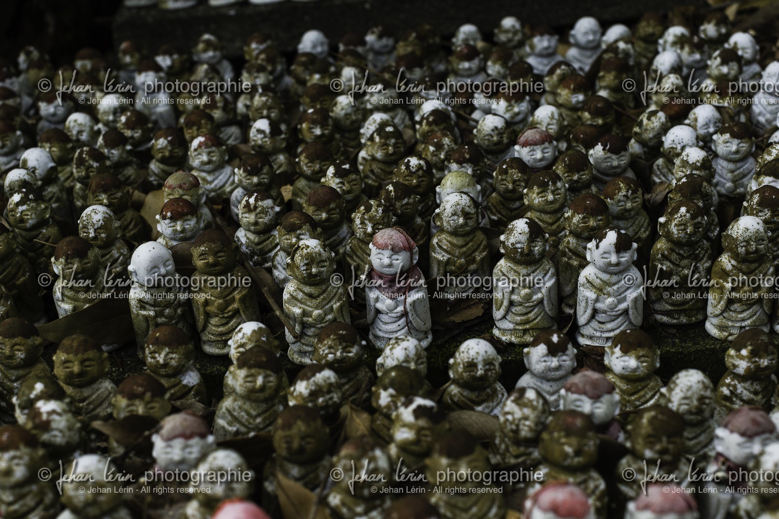 cap-muroto_hotsumisakiji_temple-24_shikoku_japon_14-03_2014-2520.jpg