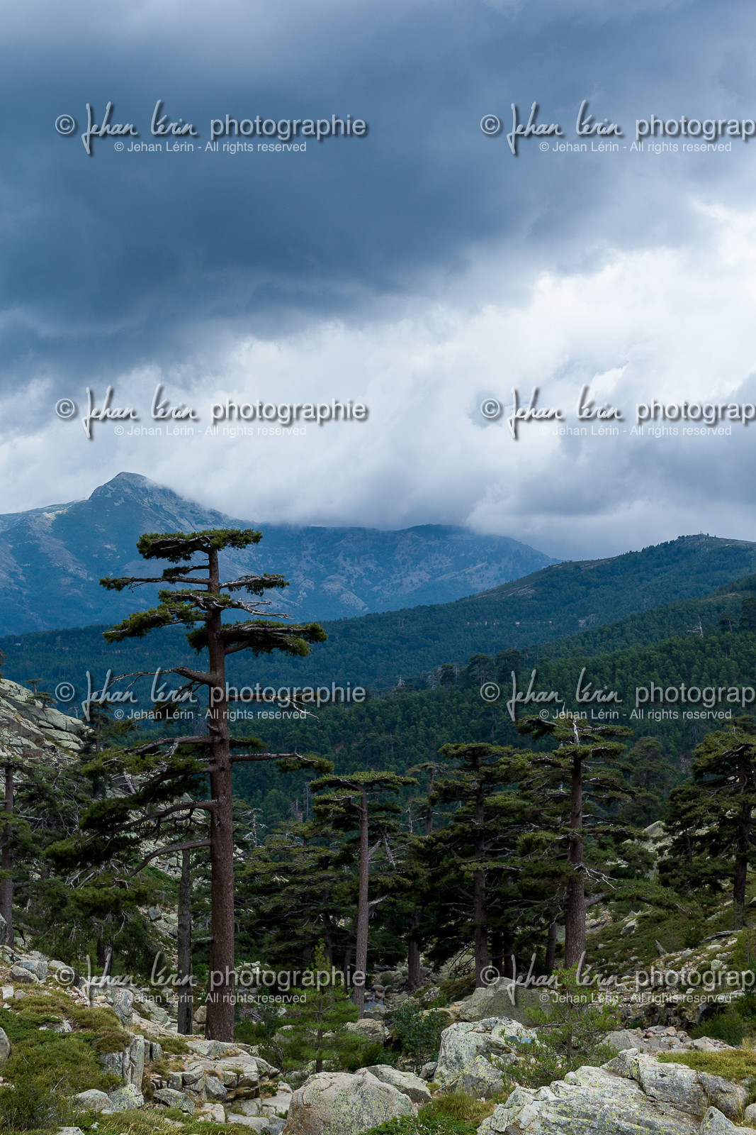 gr20_corse_jl_1dx_25-07-2016-0973.jpg