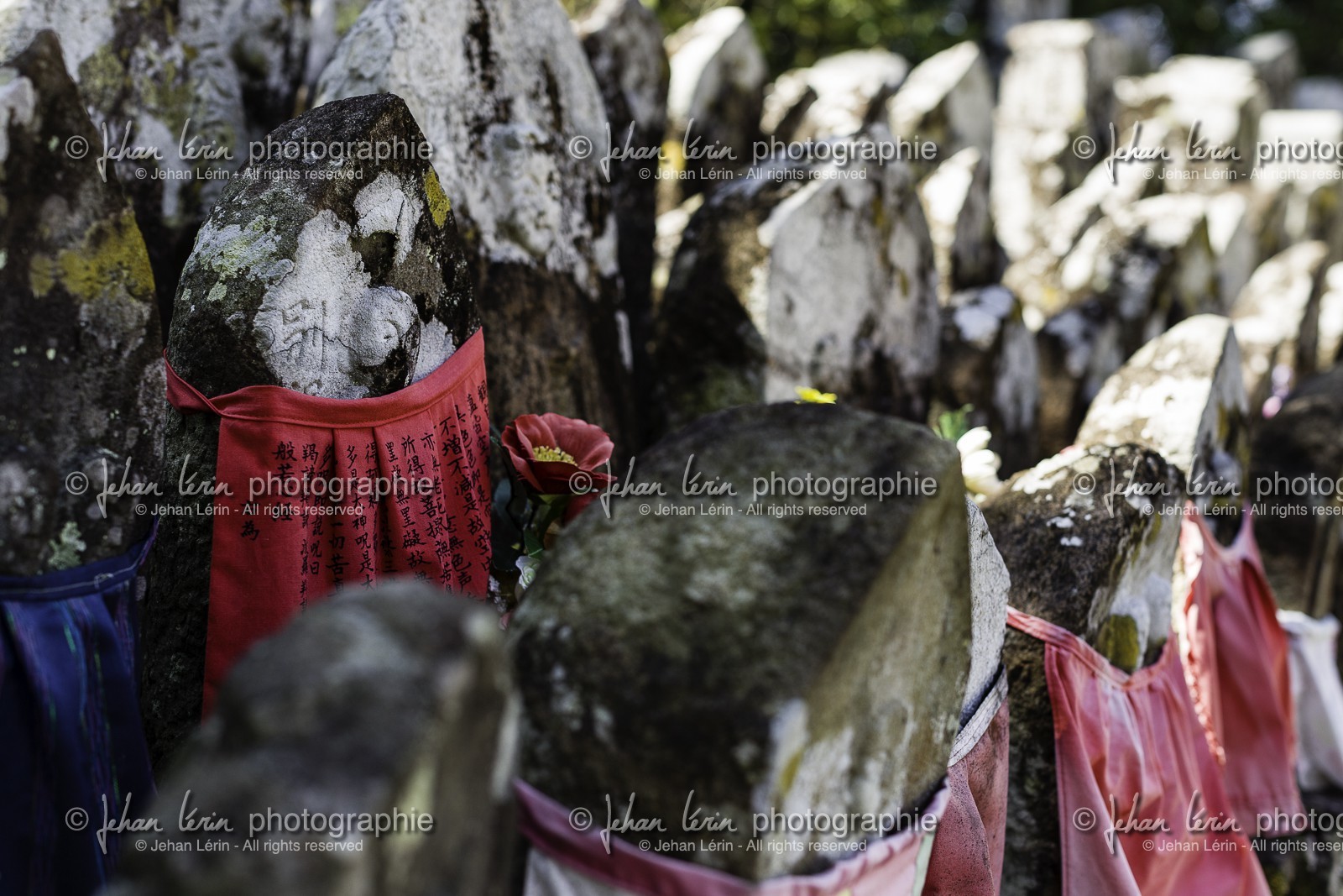 dainichiji_temple-28_shikoku_japon_16-03_2014-2579.jpg