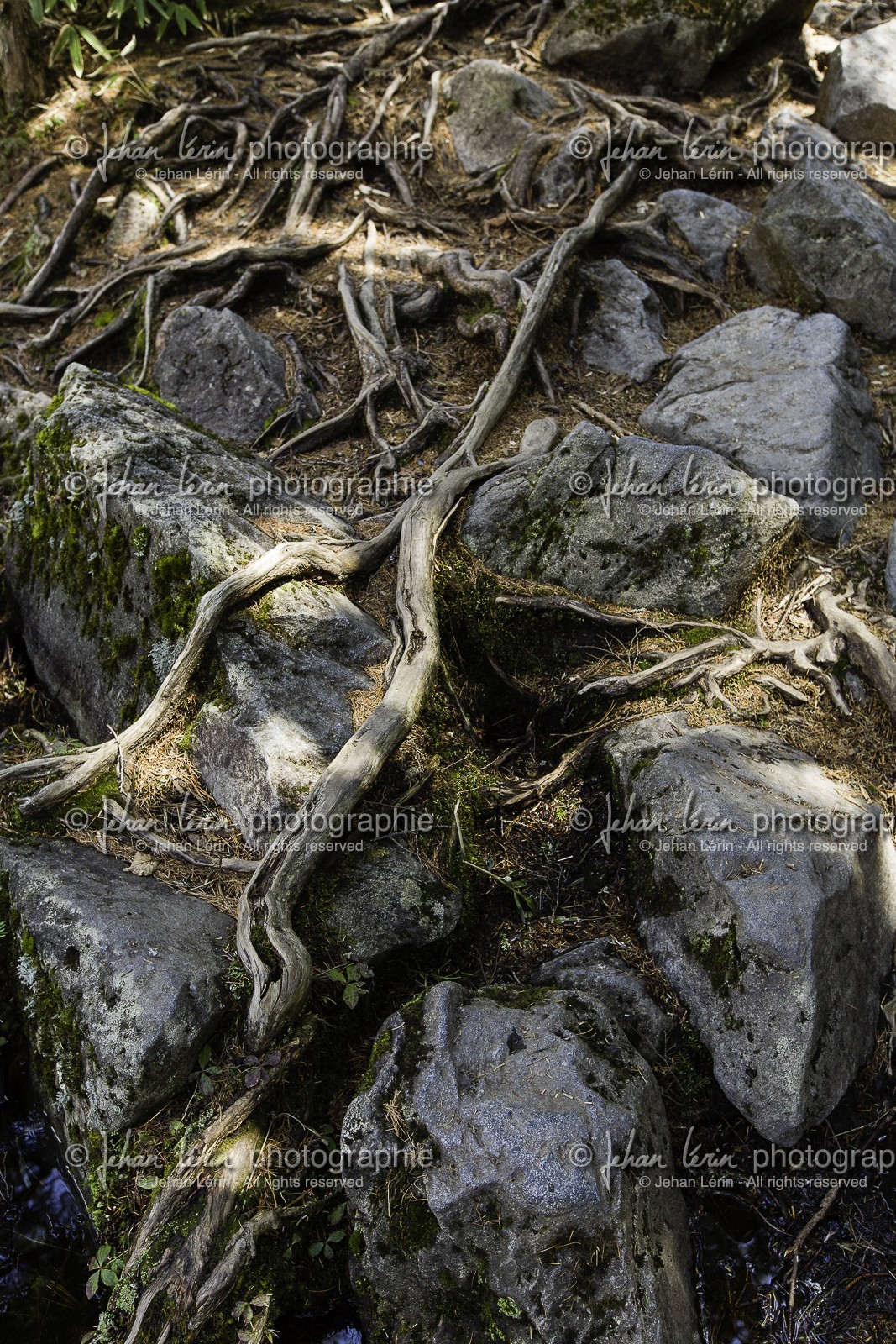 kamikochi_japon_jl_5d3_02-05-2014-1527.jpg