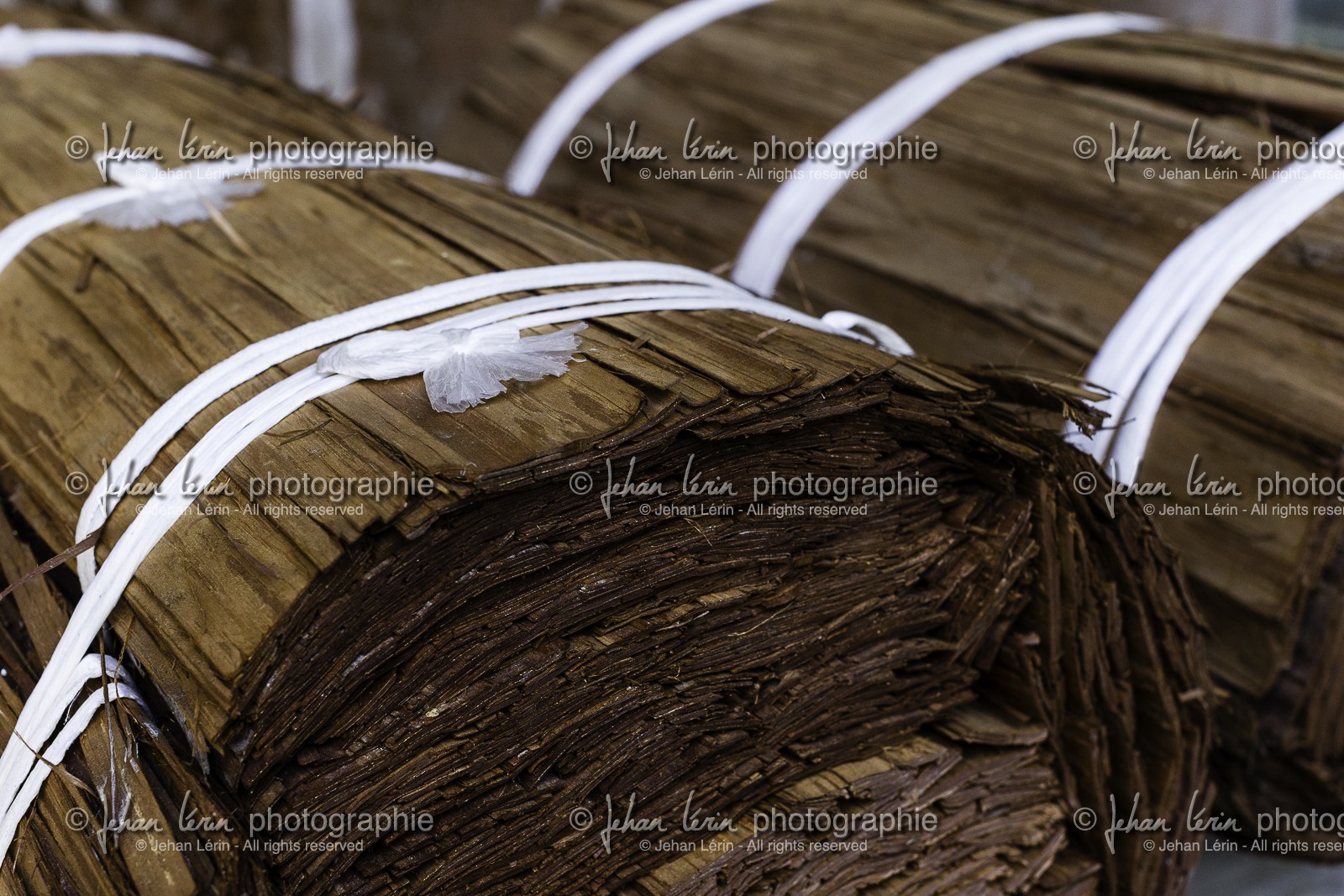 meisekiji_temple-43_shikoku_japon_27-03_2014-3227.jpg