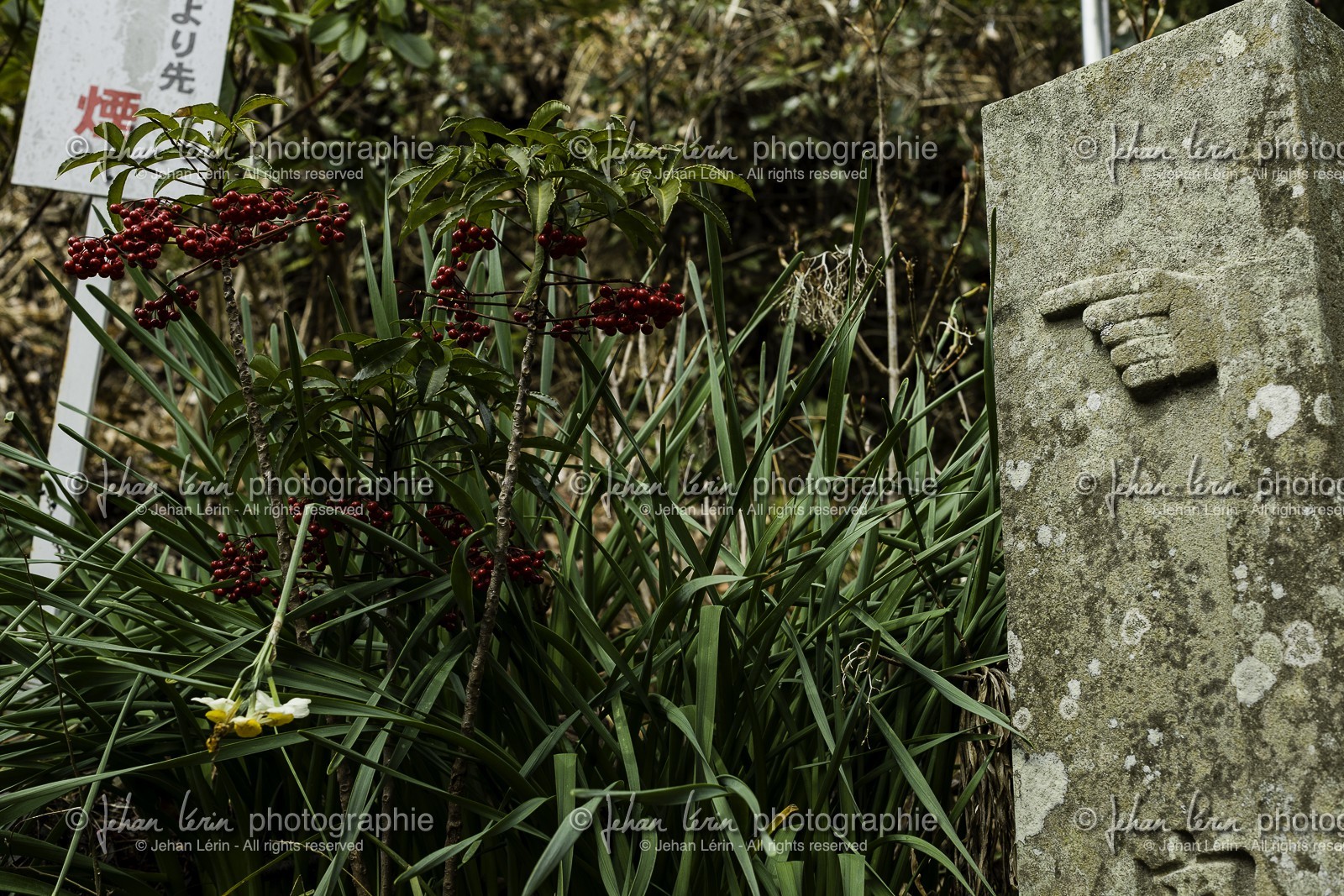 kirihataji_temple-10_shikoku_japon_06-03_2014-1927.jpg