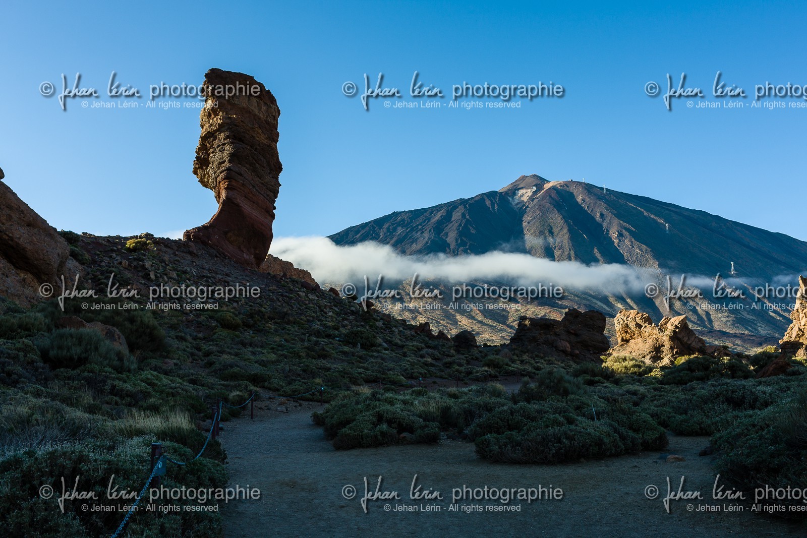 tenerife_mars-2008-0073.jpg