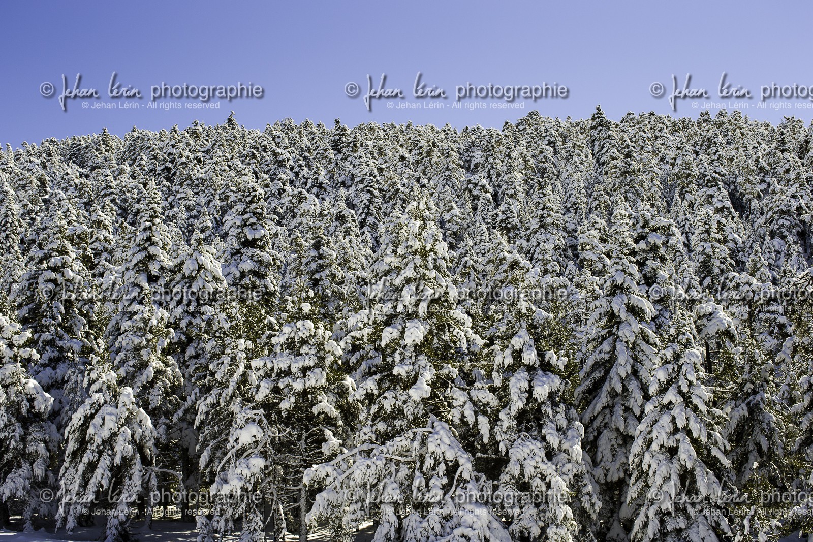 audibergue_22-02-2015-7765.jpg