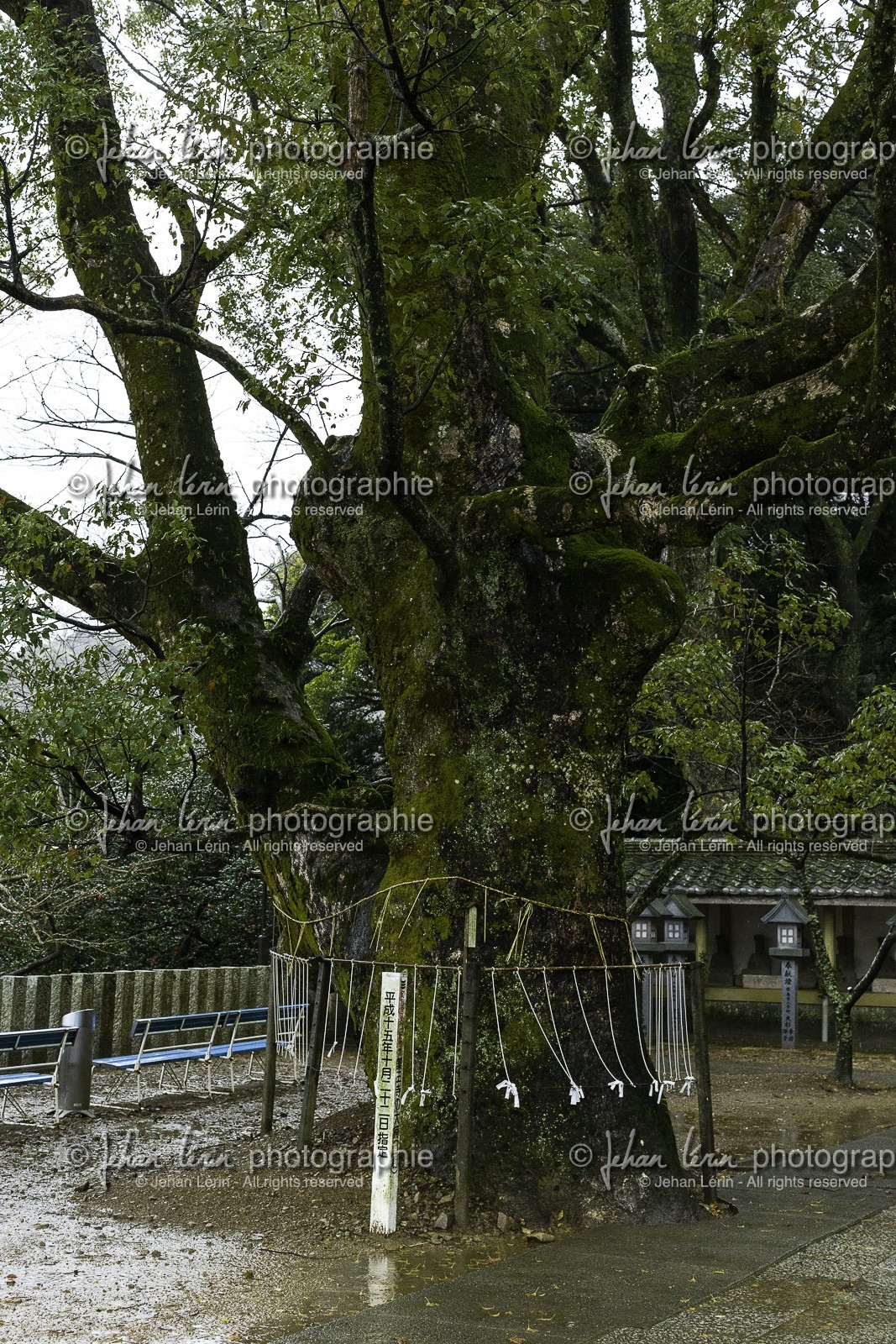 yakuoji_temple-23_shikoku_japon_13-03_2014-2444.jpg