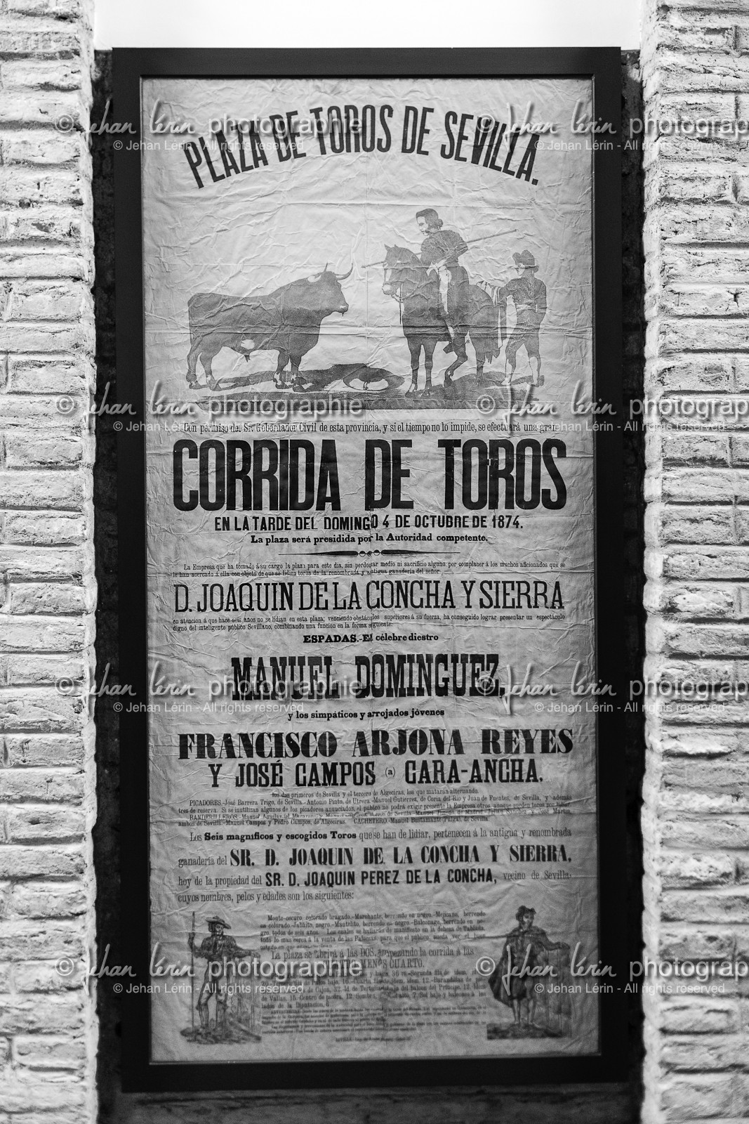 sevilla_19-01-2010-8187.jpg