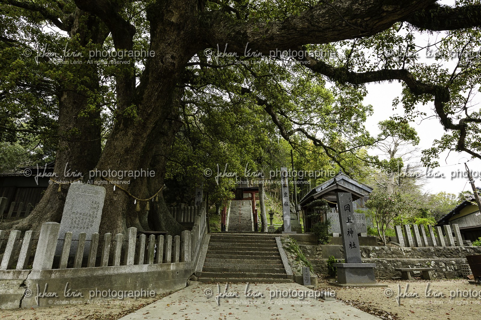 retour-vers_temple-1_shikoku_japon_12-04_2014-1280.jpg