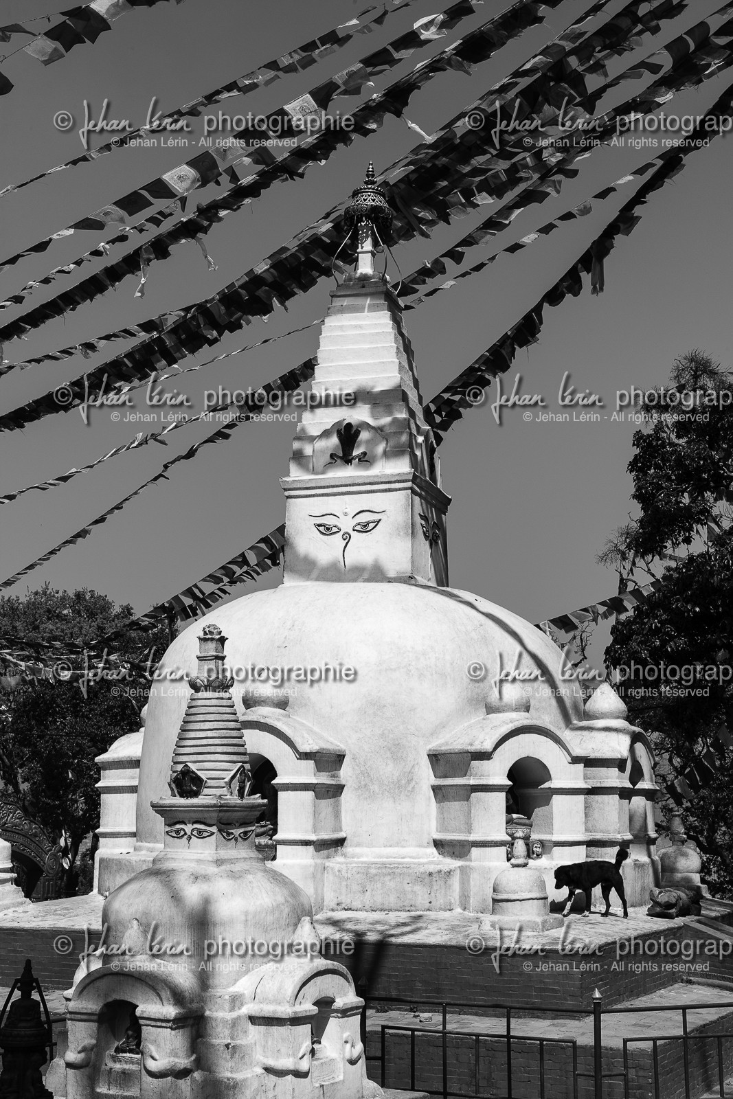 nepal_kathmandu_swayambhunath_27-02-2013-37371.jpg